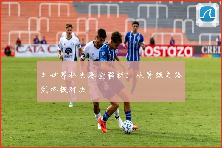 年世界杯决赛全解析:从晋级之路到终极对决