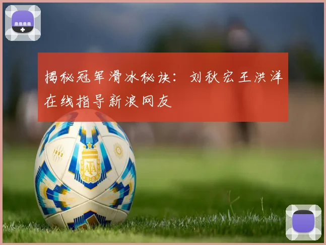 揭秘冠军滑冰秘诀：刘秋宏王洪洋在线指导新浪网友
