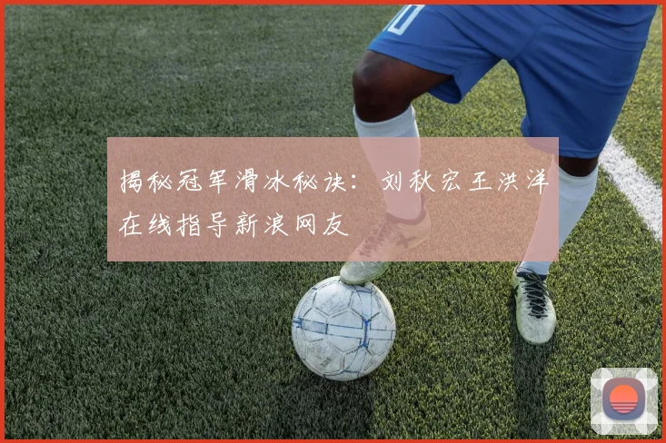 揭秘冠军滑冰秘诀:刘秋宏王洪洋在线指导新浪网友