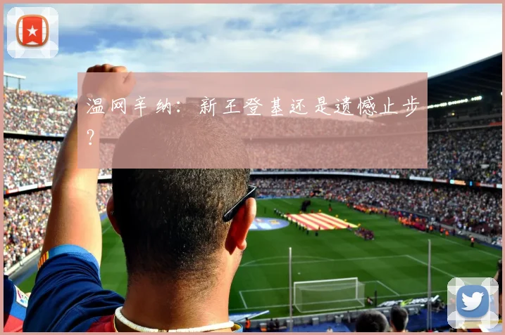 温网辛纳：新王登基还是遗憾止步？