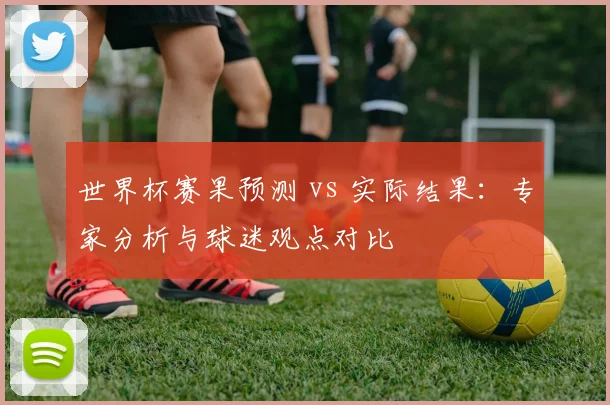 世界杯赛果预测 vs 实际结果：专家分析与球迷观点对比