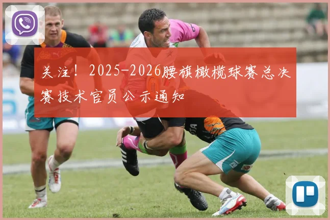 关注!2025-2026腰旗橄榄球赛总决赛技术官员公示通知