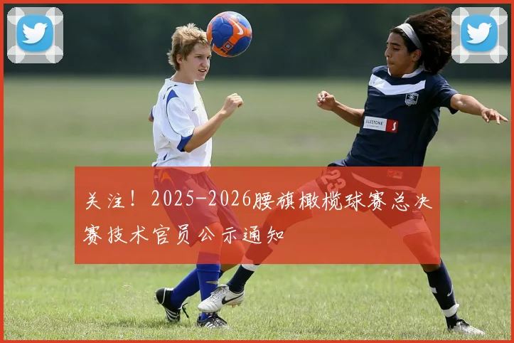 关注！2025-2026腰旗橄榄球赛总决赛技术官员公示通知