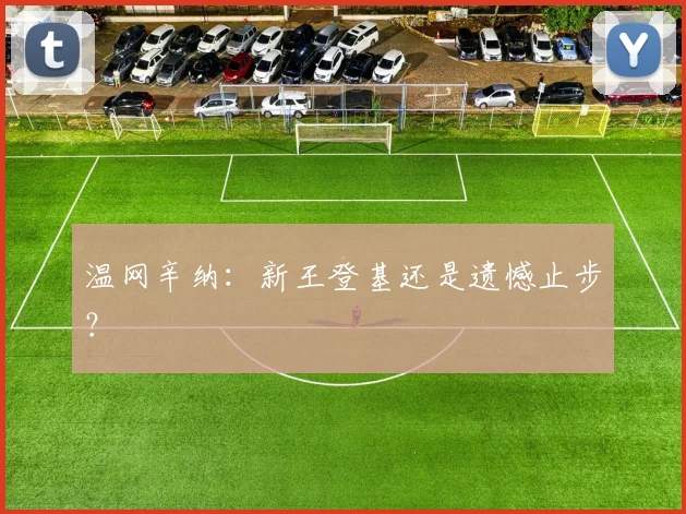 温网辛纳:新王登基还是遗憾止步?